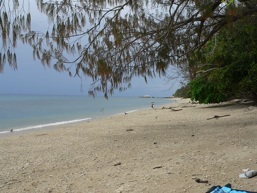 145 Fitzroy Island.jpg